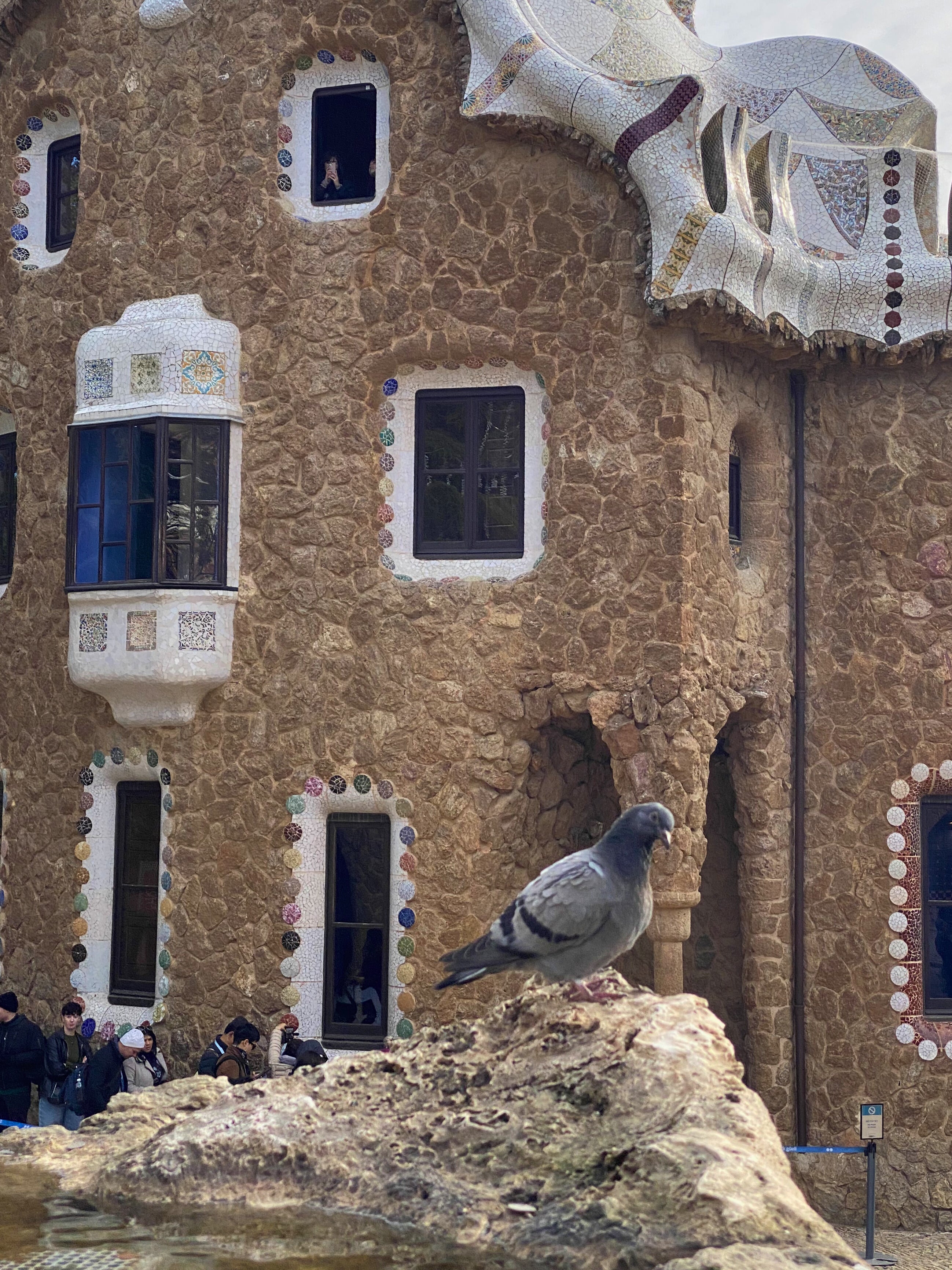Pigeon resting by a fountain with detailed mosaic and stone building in the background.